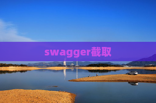 swagger截取